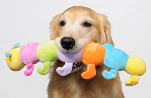 キャタピー キャタピーjumbo 犬のおもちゃ 大型犬 犬用おもちゃ あいんどっく